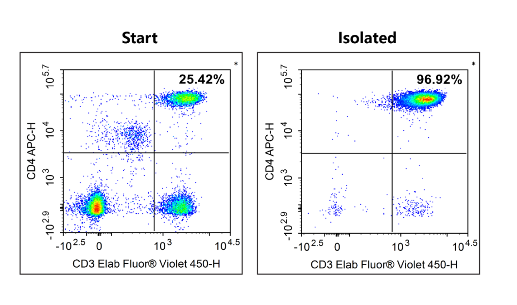 Human CD4 T cell purity increased from 25.42% to 96.92% after negative selection sorting.