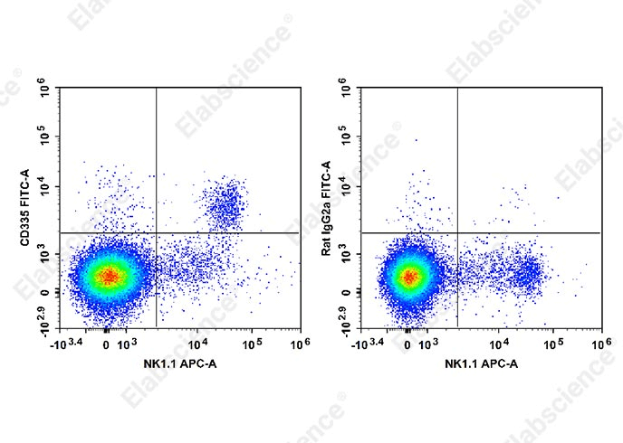 Mouse splenocytes NK cells stained with CD161/NK1.1 and CD335 (flow cytometry).