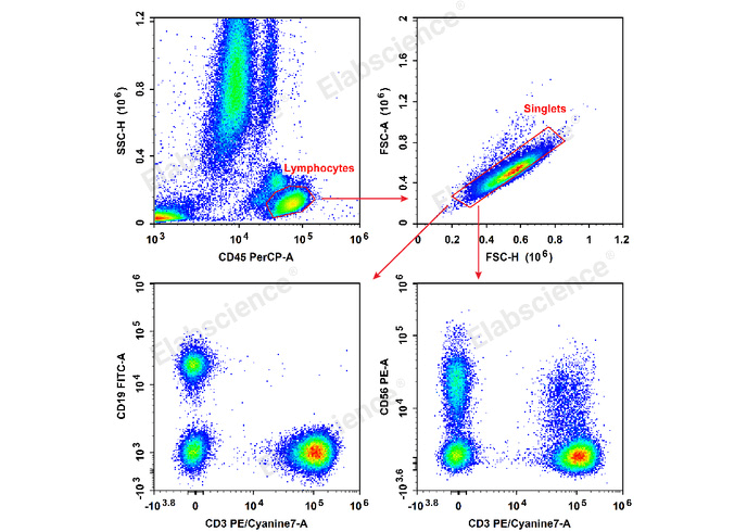 Human blood NK cells (CD45+CD3-CD56+) analyzed by flow cytometry.