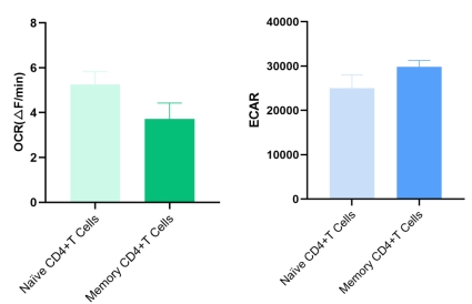 OCR and ECAR comparison in naive and memory human CD4+ T cells.