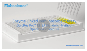 Master ELISA: Step-by-Step Video Guide to ELISA Experiments-3
