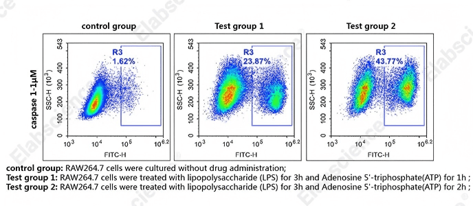 Caspase-1 activity in RAW264.7 cells by flow cytometry.