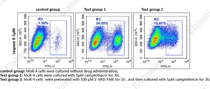 Caspase-8 activity assay in MOLT-4 cells.