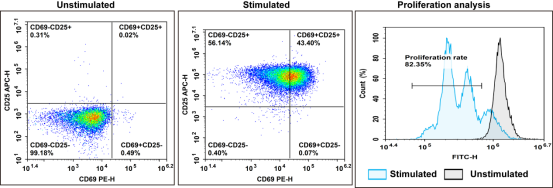 CD8 T cell activation and expansion in vitro.