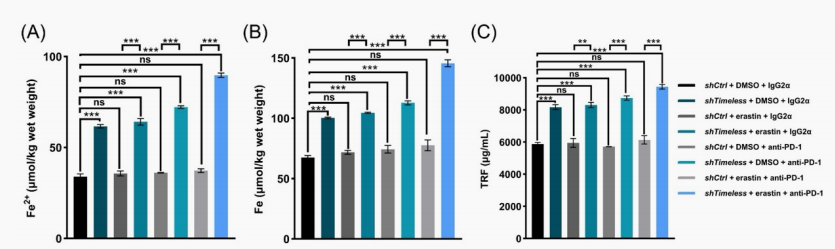 Fe²⁺ and total iron analysis after erastin and anti-PD-1 treatment.