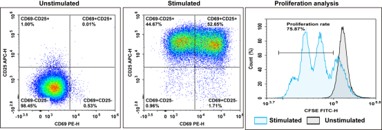 Activated human CD3+ T cells analyzed by flow cytometry.