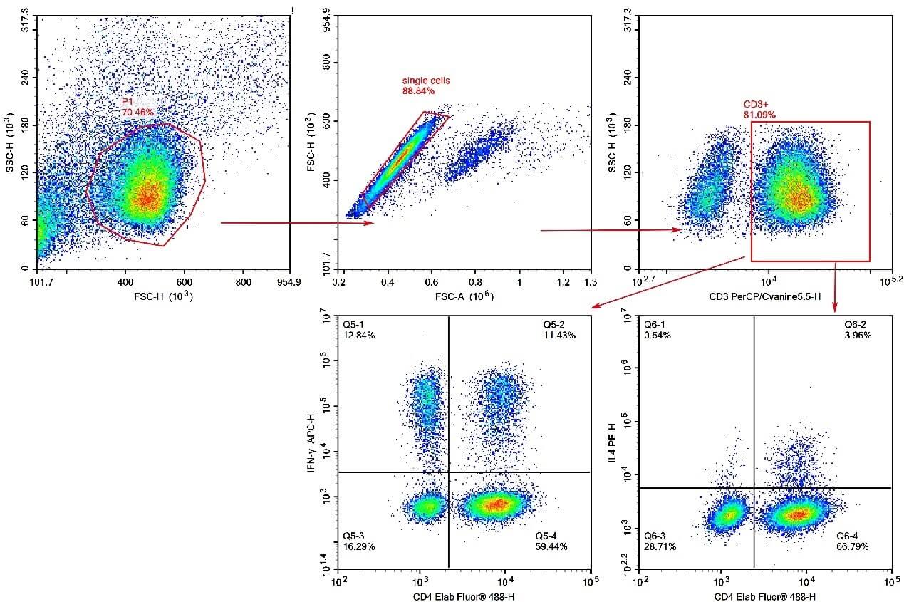 Th1 and Th2 cell subset detection in human PBMCs.