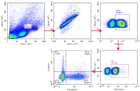 IFN-&gamma; and IL-4 cytokine analysis in mouse splenocytes.