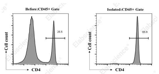 CD4+ T cell detection in mouse tissue samples.