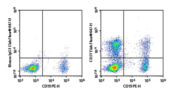Memory B cell detection in human peripheral blood lymphocytes.
