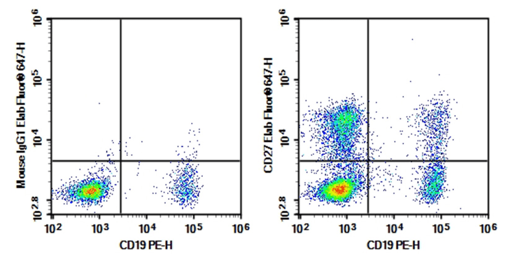 Flow cytometry detection of memory B cells in human peripheral blood.