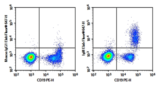 Flow cytometry detection of IgM in human peripheral blood B cells.
