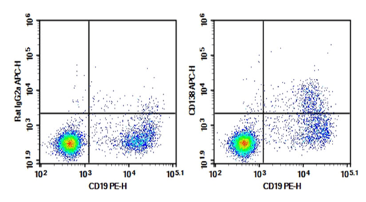 Flow cytometry detection of plasma cells in mouse bone marrow.