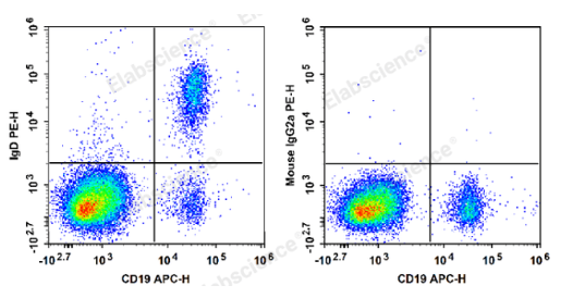 Flow cytometry detection of memory B cells in human peripheral blood.