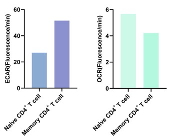 ECAR and OCR in human Naive and Memory CD4+ T cells showing differences in glycolysis and mitochondrial respiration.