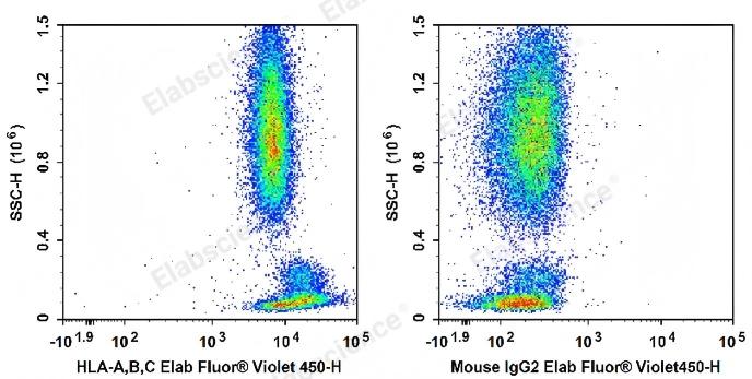 Flow cytometry analysis of HLA-A, B, C expression in human peripheral blood lymphocytes.
