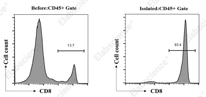 Flow cytometry analysis of isolated mouse CD8+ T cells.
