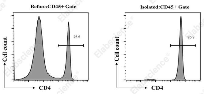 Flow cytometry analysis of isolated mouse CD4+ T cells.