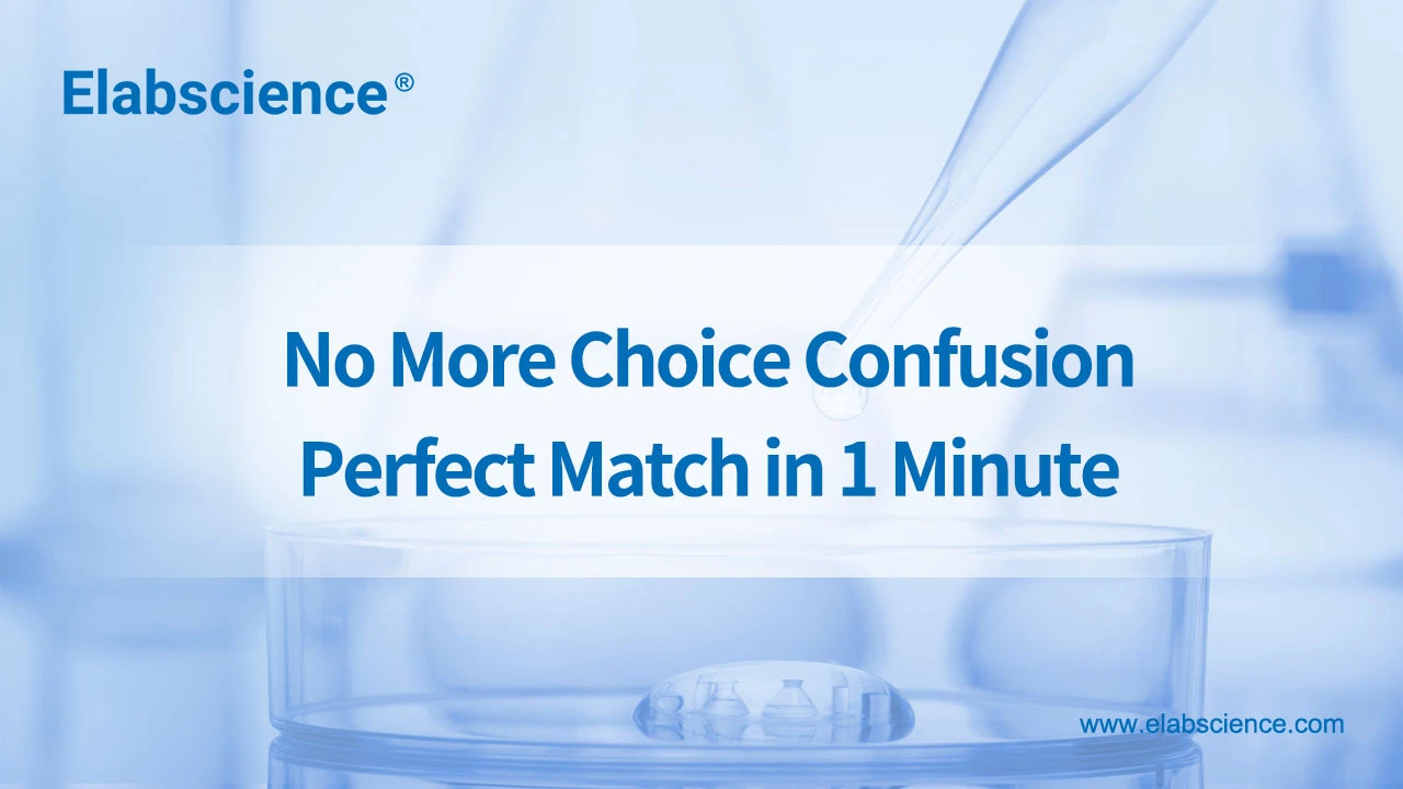 No More Choice Confusion &ndash; Perfect Match in 1 Minute