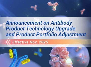 Announcement on Antibody Product Technology Upgrade and Product Portfolio Adjustment - cover