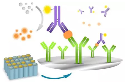 Matched Antibody Pair Kits and Reagents