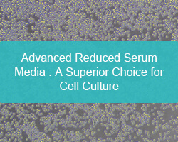 Advanced Reduced Serum Media: A Superior Choice for Cell Culture - cover