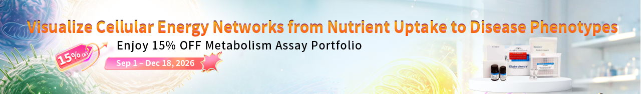 Full-Spectrum Solutions for Cellular Metabolism Research-1