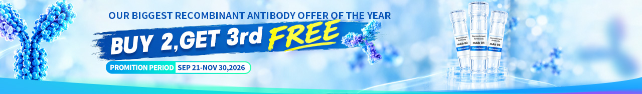 Buy 2, get the 3rd recombinant rabbit mAb FREE-1