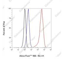 Buy 2, get the 3rd recombinant rabbit mAb FREE-18