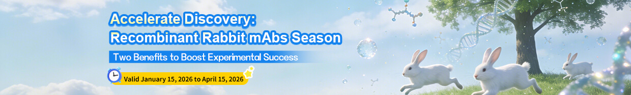 Slash Spring Costs with Next-Gen Rabbit mAbs-1