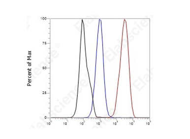 Slash Spring Costs with Next-Gen Rabbit mAbs-14