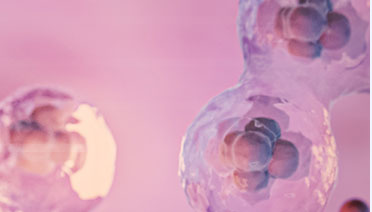 Cell Proliferation / Cytotoxicity / Viability Detection