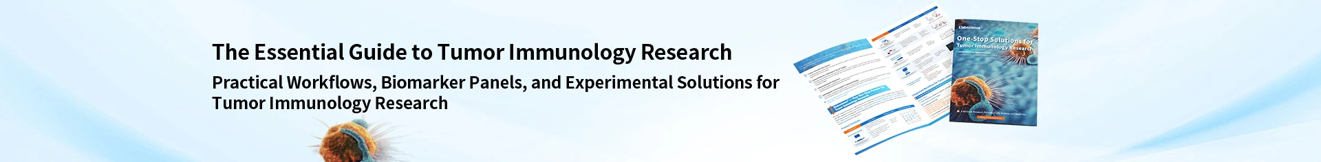 T Cell Research Guide