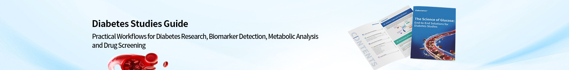 Diabetes Studies Guide