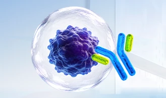 Functional Antibodies