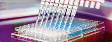 CellaQuant&trade; ELISA Kits