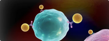 EasySort&trade; Cell Isolation Products
