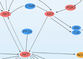 Akt/PKB Signaling Pathway - cover