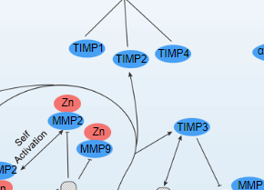 Inhibition of MMPs - cover