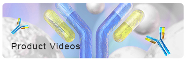 Antibody Application Reagents Product Videos