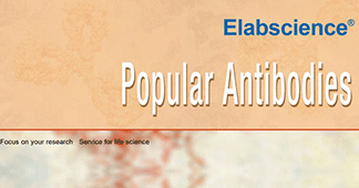 Popular Antibodies（2019）