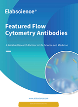 Featured Flow Cytometry Antibodies (Product Folding Page-2024)