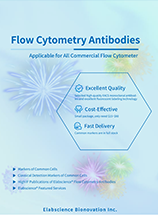 Flow Cytometry Antibodies (Folding Page-202410)