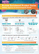 Protein Enrichment Product Series Affinity Agarose & Immunomagnetic Beads (2024)