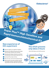 Super PlusTM High Sensitive and Rapid Immunohistochemical Kit