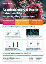 Apoptosis and Cell Health Detection Kits (2506)