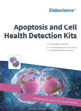 Apoptosis and Cell Health Detection Kits (2601)