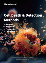 Cell Death & Detection Methods (2601)