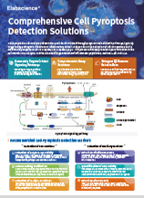 Comprehensiv Cell Pyroptosis Detection Solutions (2506)