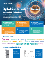Cytokine Product Series (2601)